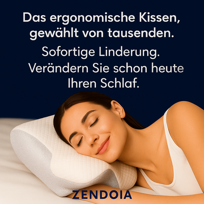 Kissen Zendoia 2.0